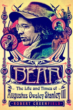 bear-book-cover